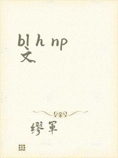 bl h np文封面