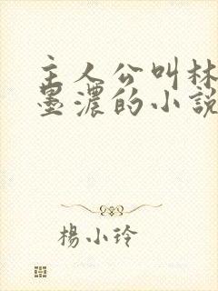 主人公叫林阳秦墨浓的小说