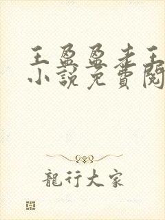 王盈盈老王继女小说免费阅读