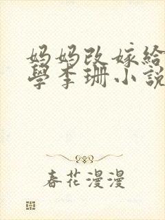 妈妈改嫁给我同学李珊小说