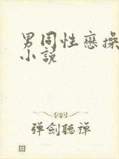 男同性恋操屁股小说封面
