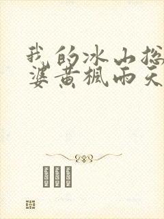 我的冰山总裁老婆黄枫雨天