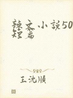 辣文小说500短篇