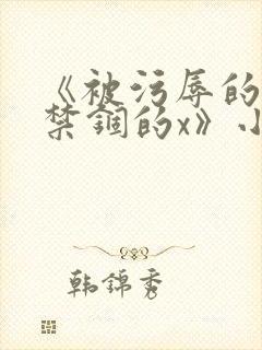 《被污辱的x被禁锢的x》小说