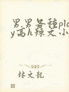 男男各种play高h辣文小说