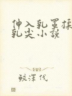 伸入乳罩揉她的乳尖小说