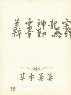 叶云神龙宗 最新章节 无弹窗