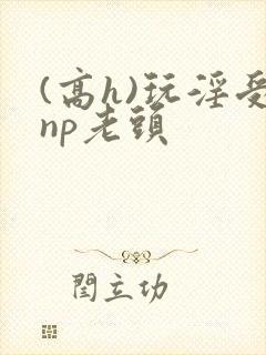 (高h)玩淫受np老头
