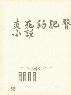 爽死的肥臀村妇小说