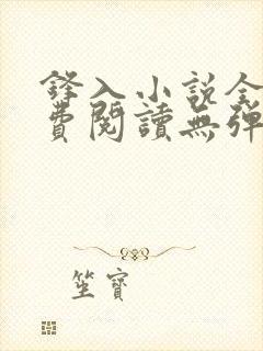 锋入小说全文免费阅读无弹窗