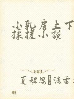 小乳房上下耸动揉搓小说封面