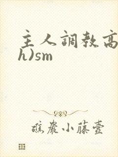 主人调教高潮(h)sm封面