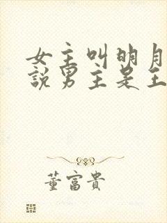 女主叫明月的小说男主是王爷封面