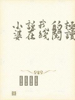 小说我的极品老婆在线阅读全文