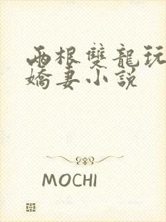 两根双龙玩弄我娇妻小说封面