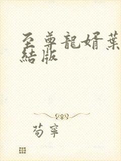 至尊龙婿叶辰完结版封面