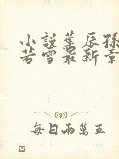 小说叶辰孙怡夏若雪最新章节阅读