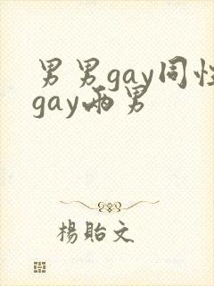 男男gay同性gay两男