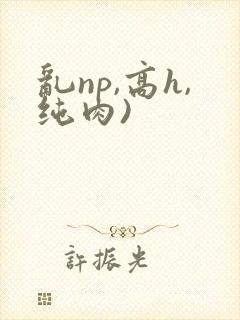 乱np,高h,纯肉)