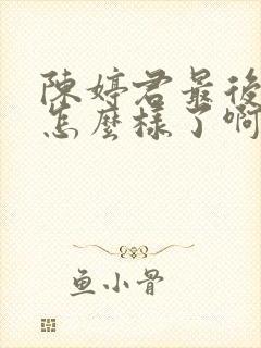 陈婷君最后结局怎么样了啊