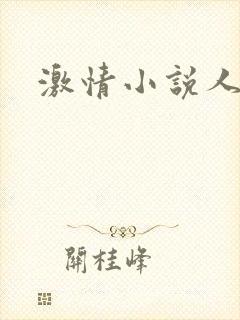 激情小说人妻封面