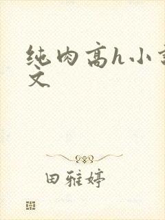 纯肉高h小说辣文