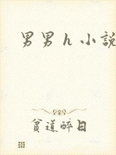 男男 h 小说