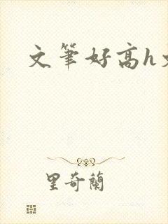 文笔好高h文封面