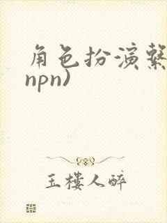 角色扮演系统(npn)