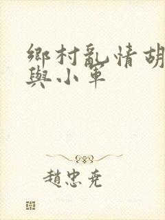 乡村乱情胡秀英与小军封面