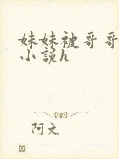 妹妹被哥哥干哭小说h封面