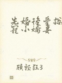 先婚后爱总裁霸宠小娇妻封面