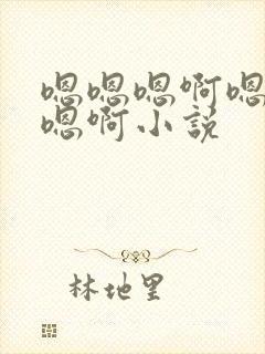 嗯嗯嗯啊嗯嗯啊嗯啊小说