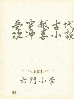 受穿越古代嫁给攻冲喜小说封面