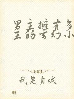 男主拥有多个女主的玄幻小说