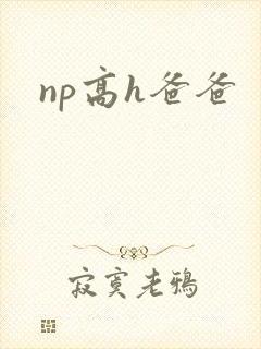 np高h爸爸