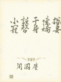 小说千亿总裁独宠替身娇妻全文阅读