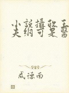 小说摄政王想立夫纲可是医妃太狂封面