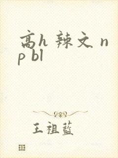 高h 辣文 np bl