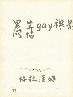 男生gay裸体网站