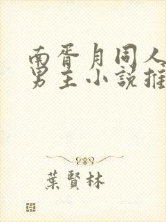 南胥月同人文双男主小说推荐