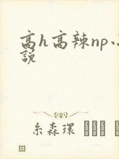 高h高辣np小说
