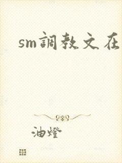 sm调教文在线