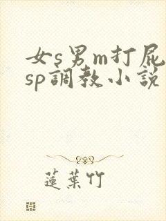 女s男m打屁股sp调教小说