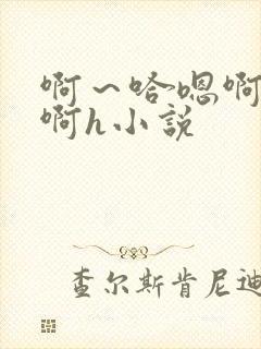 啊～哈嗯啊哈嗯啊h小说