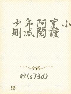 少年阿宾小说无删减阅读