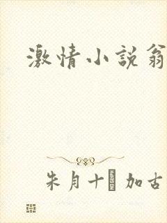 激情小说翁媳乱封面