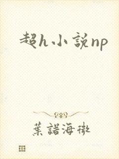 超h小说np