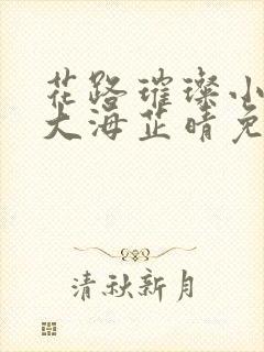 花路璀璨小说王大海芷晴免费阅读