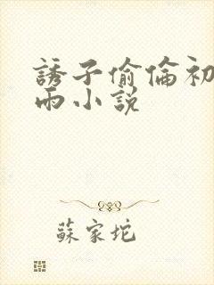 诱子偷伦初尝云雨小说